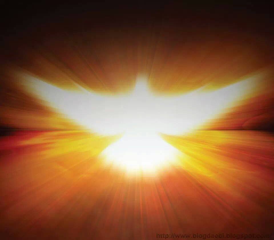 Confirmaciones de inicio del mes de noviembre