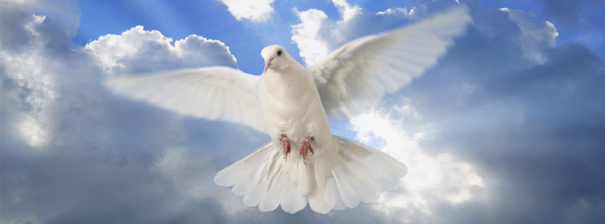 Martes 5 de agosto: Misa de la RCC en Campana