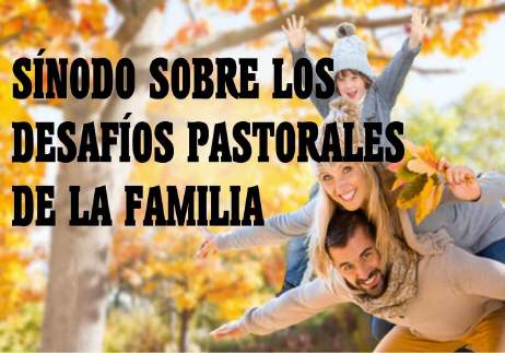 Séptima Congregación General: Los desafíos pastorales acerca de la apertura a la vida