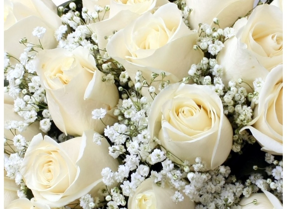 – Domingo 18 de octubre: Feliz día a todas las Madres –
