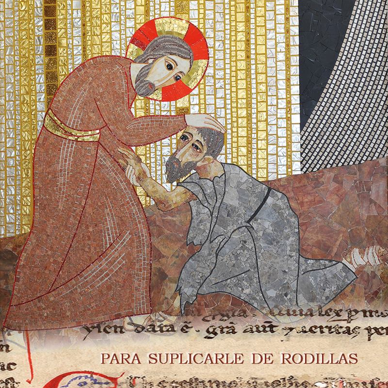 Papa Francisco: “contemplar a Jesús como el verdadero médico de los cuerpos y las almas”